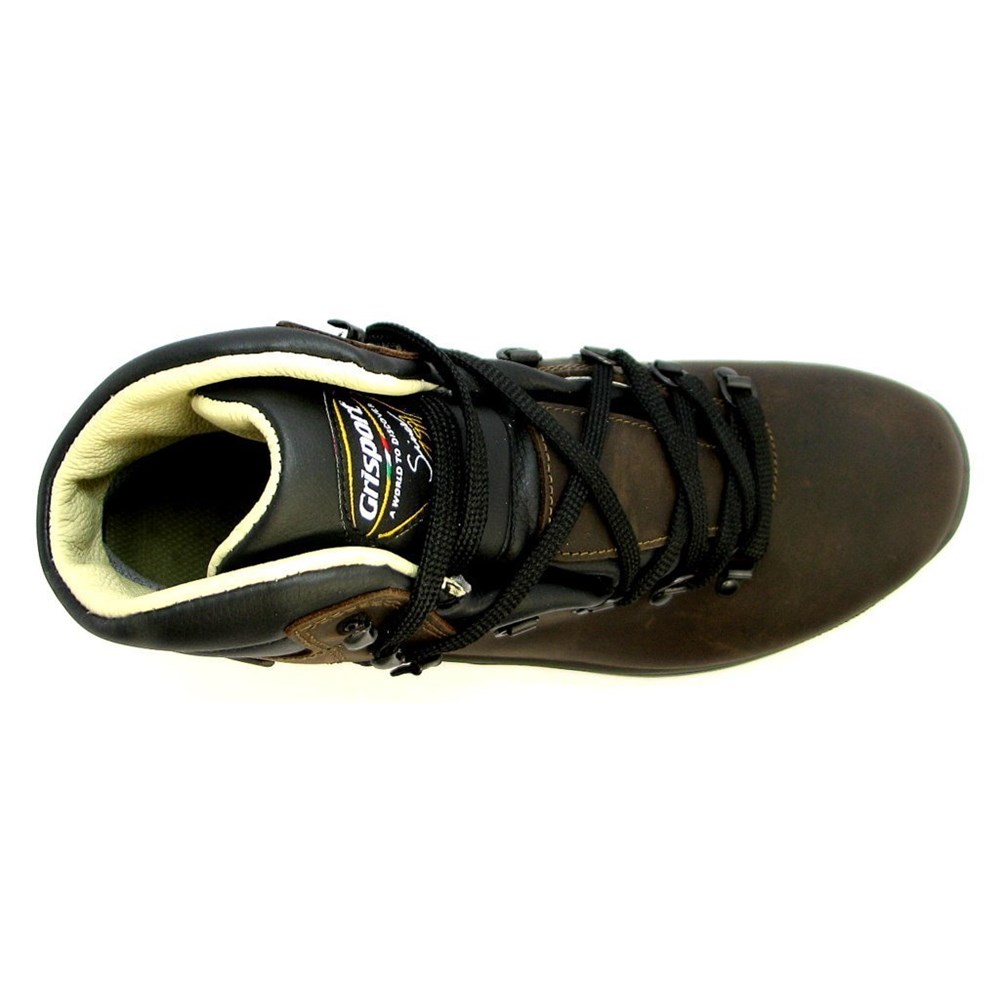 Shoes Grisport Marrone Dakar () • price 218 $ • (13701D28T, )