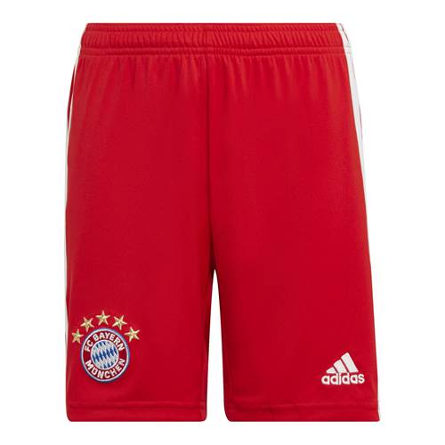 Trousers Adidas FC Bayern Monachium