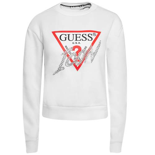 Sweatshirt Guess W2BQ18KB683 G011