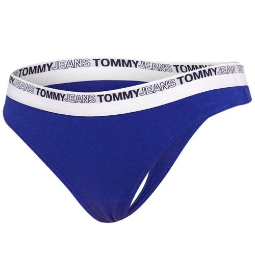 Pants Tommy Hilfiger UW0UW03865 C9D