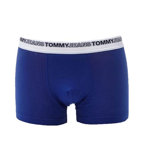 Pants Tommy Hilfiger UM0UM02658 C9D