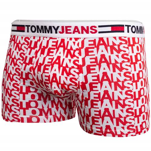 Pants Tommy Hilfiger UM0UM024050GC