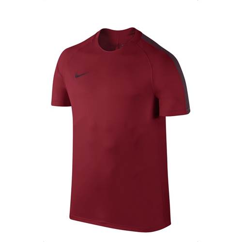 T-Shirt Nike Dry Squad