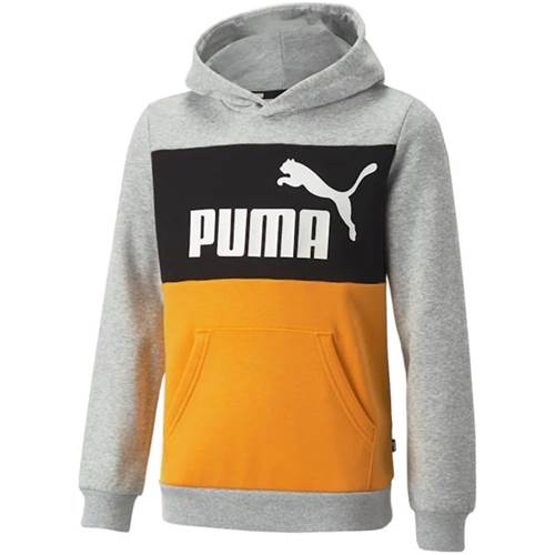 Sweatshirt Puma Ess Block Hoodie FL B JR